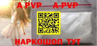 стафф Кингисепп
