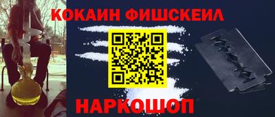 стафф Кингисепп