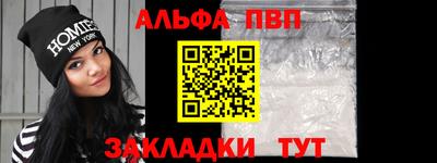 стафф Кингисепп
