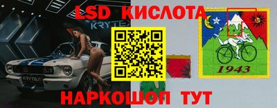 стафф Кингисепп