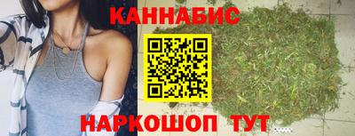 стафф Кингисепп