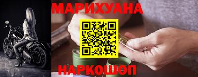 стафф Кингисепп