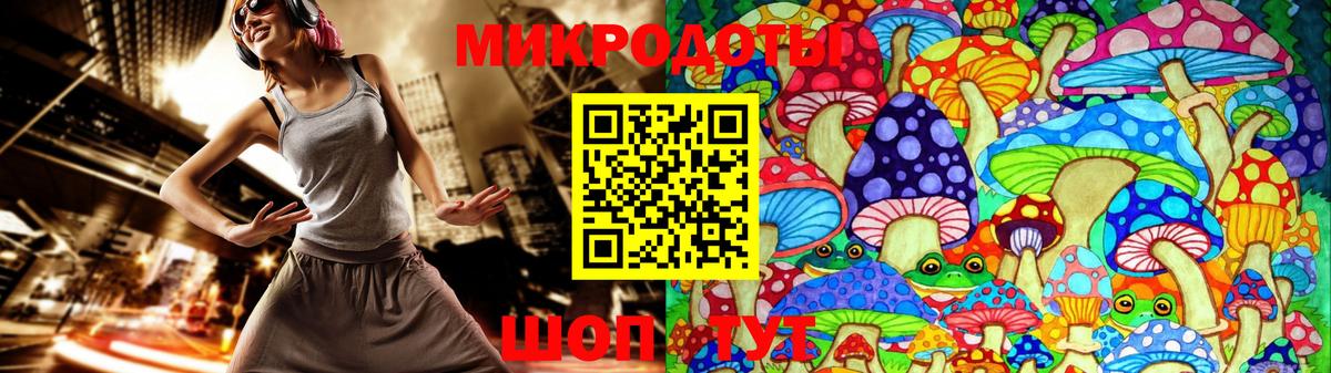 Красногорск  Псилоцибиновые грибы Cubensis  Вход с VPN 